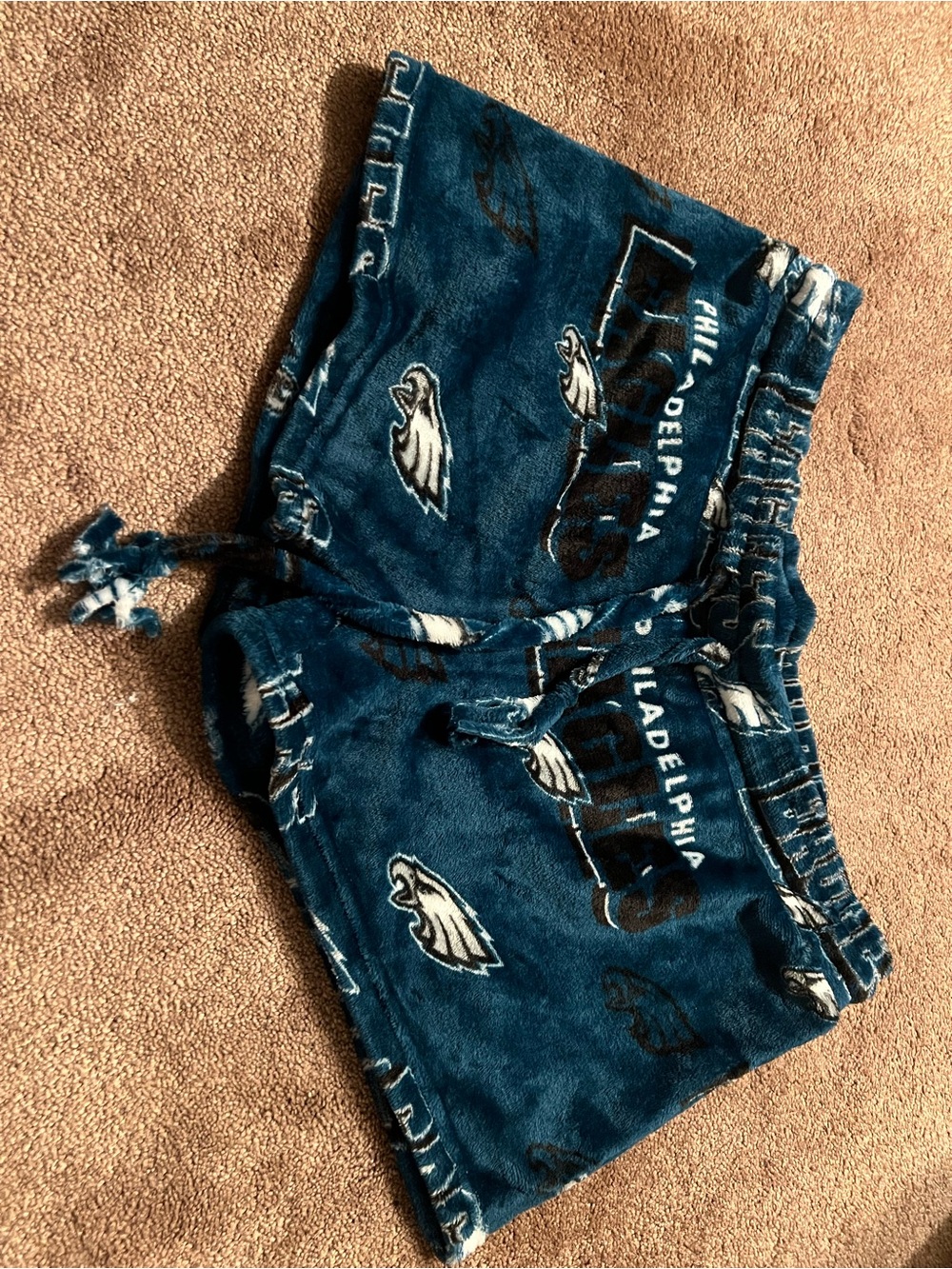 NFL Philadelphia Eagles Plush Lounge Shorts - Teal & Black